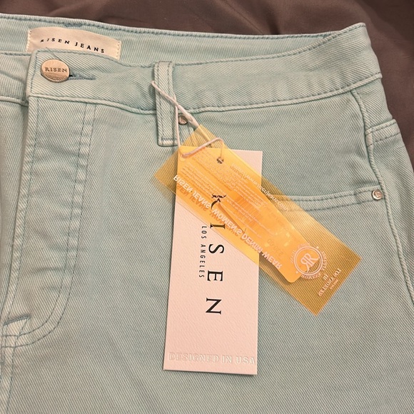 Mint risen shorts - Picture 4 of 5